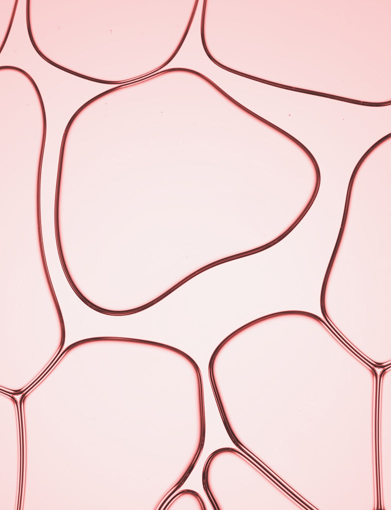 Red Algae Extract & Pullulan Complex