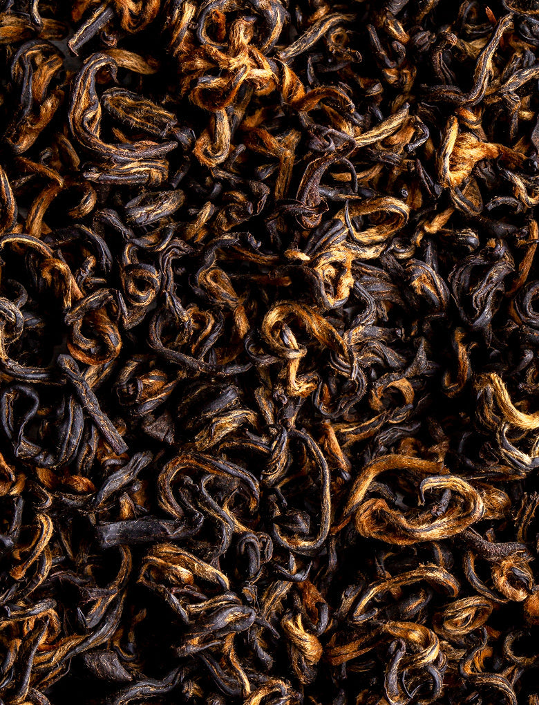 Black Tea Ferments